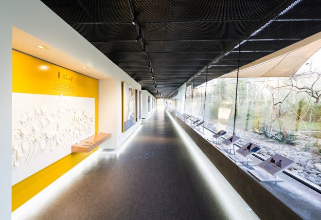 Wasit Natural Reserve, Wasit Natural Reserve Visitor Center, United Arab Emirates, natural reserve, bird habitat, bird watching, landscape architecture, visitor center, X Architects, rehabilitation