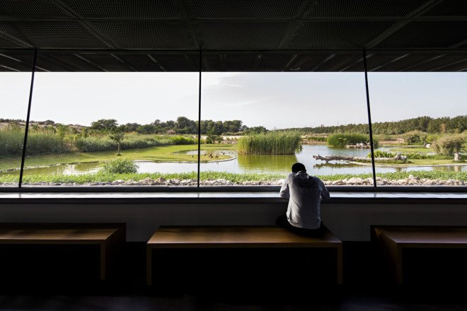 Wasit Natural Reserve, Wasit Natural Reserve Visitor Center, United Arab Emirates, natural reserve, bird habitat, bird watching, landscape architecture, visitor center, X Architects, rehabilitation