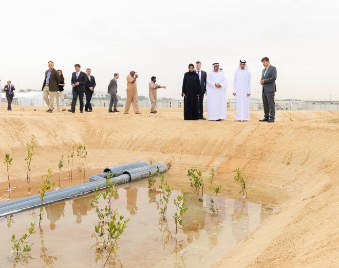 biofuel, abu dhabi, jet fuel, seawater, halophytes, aviation industry, aquaculture, united arab emirates, desert, climate change
