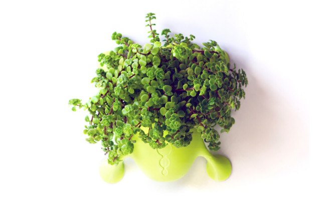 Livi, planter, sustainable design, green design