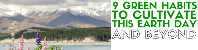 earth day, sustainability, eco-friendly, green habits, home decor, recycling, reusing, reducing, consumption, vegetarian, meatless, climate neutral, carbon dioxide, reusable shopping bag, reusable coffee cup, reusable kitchen towel, DIY swiffer, energy star, water saving, lightbulbs, transportation, bicycling, awareness