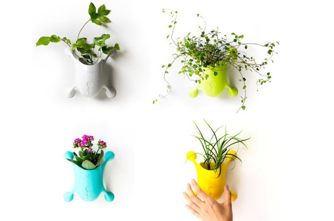 Livi, planter, sustainable design, green design