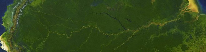 amazon river, peru, south america, coral reef, 600-mile coral reef, atlantic ocean, south atlantic ocean, oceanography