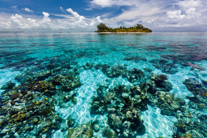 wwf, world wildlife fund, world heritage sites, unesco world heritage sites, industrial activity, oil and gas exploration, belize