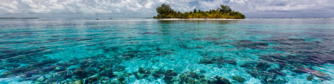 wwf, world wildlife fund, world heritage sites, unesco world heritage sites, industrial activity, oil and gas exploration, belize