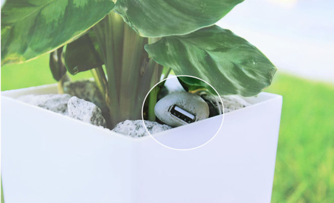 bioo, indiegogo, photosynthesis, planter pot with usb charger, electricity from plants, portable phone charger, crowdfunding, Arkyne Technologies, spain, barcelona