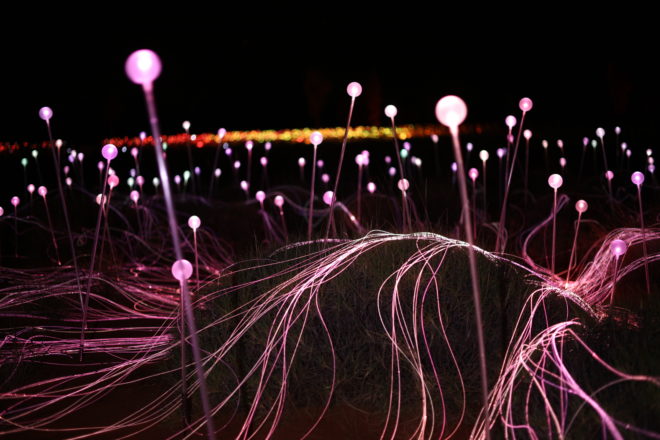 bruce munro, field of light, fiber optic, light installation, light art, desert lights, Tili Wiru Tjuta Nyakutjaku, uluru, field of light 2016, australia