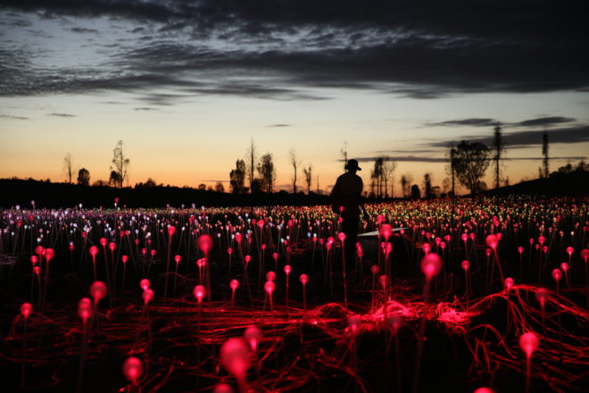 bruce munro, field of light, fiber optic, light installation, light art, desert lights, Tili Wiru Tjuta Nyakutjaku, uluru, field of light 2016, australia