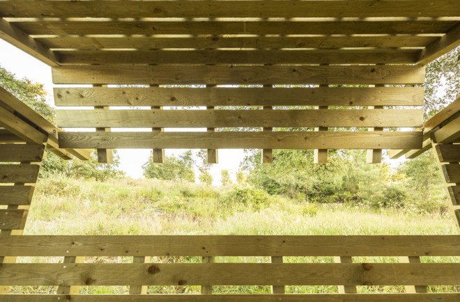 Martial Marquet, Saperlipopette les Architecte, treehouse, Portugal, Casa No Muro, floating architecture, pine wood, natural light, green architecture, timber structure