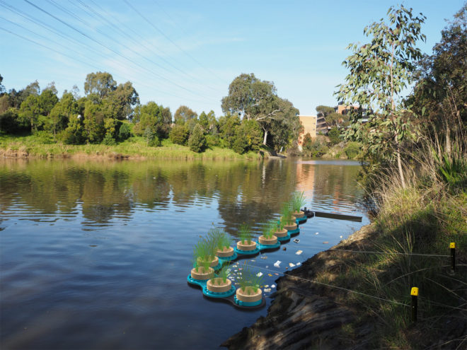 Melbourne, Rowan Turnham, Project Galada, floating planters, modular planters, aquatic planter, modular design, water cleanup, bio-filtration, trash cleanup,