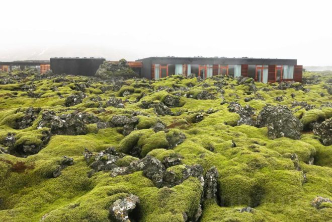 Iceland, geothermal energy, Blue Lagoon, DesignMarch, Svartsengi, cocktails bar, Lava Restaurant, quarz, minerals, silica, The Blue Flag, Blue Lagoon Clinic Hotel, Sigridur Sigthorsdottir, Basalt Architects
