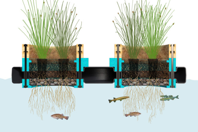 Melbourne, Rowan Turnham, Project Galada, floating planters, modular planters, aquatic planter, modular design, water cleanup, bio-filtration, trash cleanup,