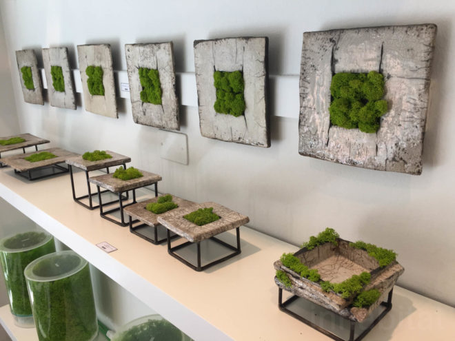 Moss, mossmania, interior design, moss design, green walls, 2016 Milan Design, green design, Milan Design Week, milan furniture, renewable design, moss art, living design, botanical, green furniture, biophilic interior, biophilic design, gardens, interior gardens, moss art, raku pottery, japanese pottery, moss covered pottery, moss ceramics, japanese ceramics, ceramics