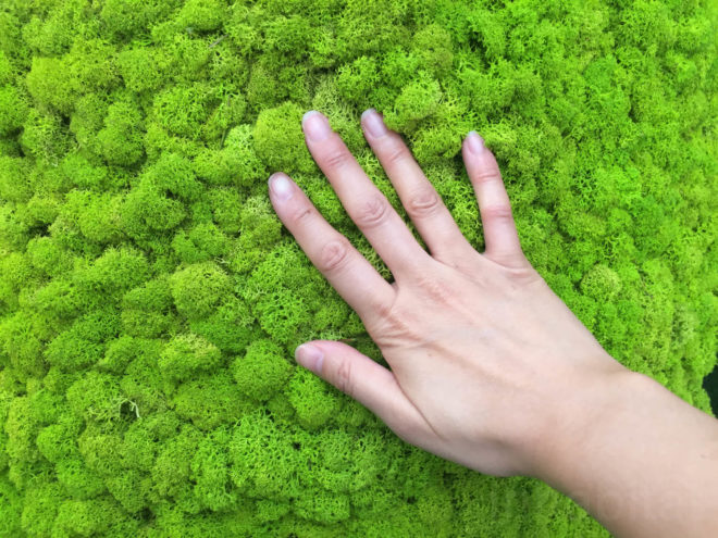 Moss, mossmania, interior design, moss design, green walls, 2016 Milan Design, green design, Milan Design Week, milan furniture, renewable design, moss art, living design, botanical, green furniture, biophilic interior, biophilic design, gardens, interior gardens, vertical garden, moss covered walls, living walls,