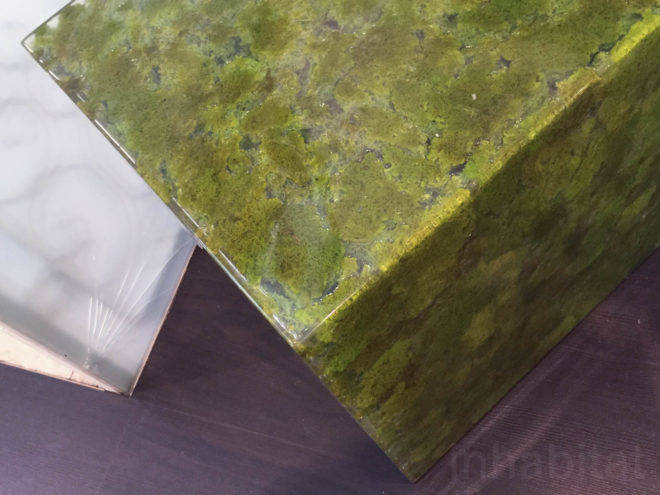 Moss, mossmania, interior design, moss design, green walls, 2016 Milan Design, green design, Milan Design Week, milan furniture, renewable design, moss art, living design, botanical, green furniture, biophilic interior, biophilic design, decorative moss