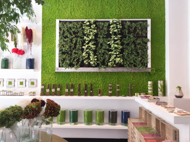 Moss, mossmania, interior design, moss design, green walls, 2016 Milan Design, green design, Milan Design Week, milan furniture, renewable design, moss art, living design, botanical, green furniture, biophilic interior, biophilic design, gardens, interior gardens, vertical garden, moss covered walls, living walls,