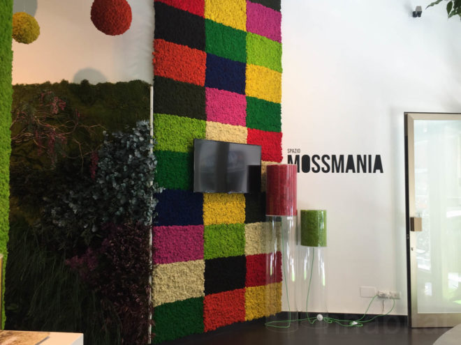 Moss, mossmania, interior design, moss design, green walls, 2016 Milan Design, green design, Milan Design Week, milan furniture, renewable design, moss art, living design, botanical, green furniture, biophilic interior, biophilic design, gardens, interior gardens, vertical garden, moss covered walls, living walls,