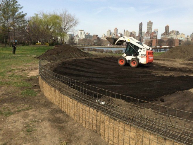 Socrates Sculpture Park, Meg Webster, Concave Room for Bees, art in socrates park, Queens waterfront, socrates sculpture park, art installation nyc, public art, flower art, flower sculpture, living art, pyramid of flowers, urban art, park art, earth art, nature-themed art