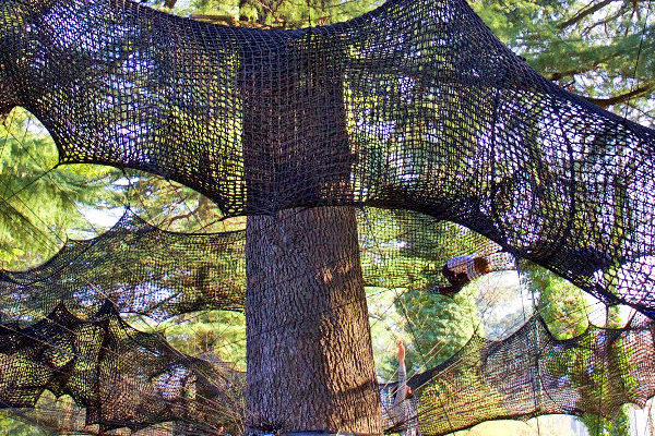 tube merano, numen / for use, bau, spring festival, south tyrol, italian festival, art & nature, walking with senses, net tubing, tree climbing, tree net, tree installation