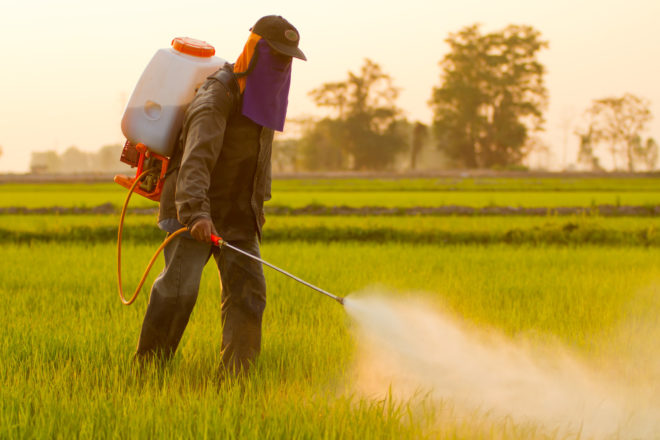 Alliance for Natural Health, glyphosate, Monstanto, Roundup, carcinogens, cancer, World Health Organization, public health, organic food, herbicides, pesticides, food chain, bioaccumulation, breakfast foods