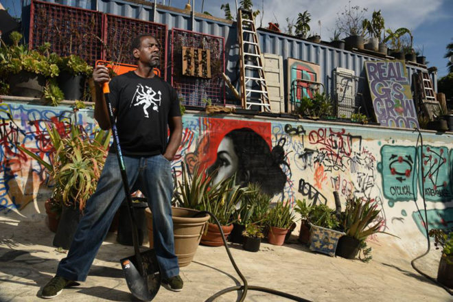 ron finley, guerrilla garden, south central, los angeles, gardening, food desert, food scarcity, healthy food, vegetable gardening, community garden