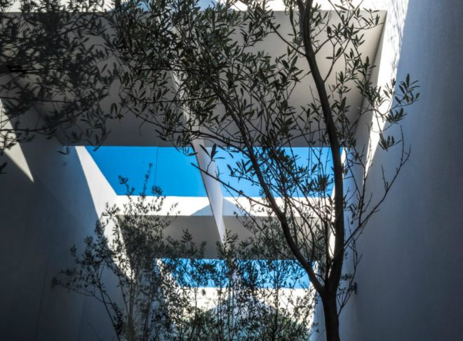 Roof Arquitectos, Casa MK, nature inspired architecture, landscape architecture, mexican design, mexican home design, forest within a home, central courtyard design, landscape courtyard, forest in a home, landscape design, traditional home design, architecture in mexico, contemporary home design,