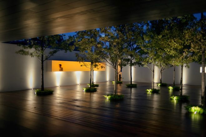 Roof Arquitectos, Casa MK, nature inspired architecture, landscape architecture, mexican design, mexican home design, forest within a home, central courtyard design, landscape courtyard, forest in a home, landscape design, traditional home design, architecture in mexico, contemporary home design,
