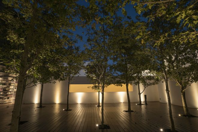 Roof Arquitectos, Casa MK, nature inspired architecture, landscape architecture, mexican design, mexican home design, forest within a home, central courtyard design, landscape courtyard, forest in a home, landscape design, traditional home design, architecture in mexico, contemporary home design,