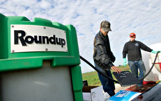 Alliance for Natural Health, glyphosate, Monstanto, Roundup, carcinogens, cancer, World Health Organization, public health, organic food, herbicides, pesticides, food chain, bioaccumulation, breakfast foods