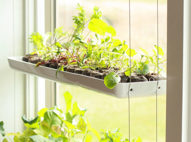 SekuraGarden, vertical garden, indoor gardening, gardening for small spaces, minimalist garden, window gardening, window garden, how to grow plants indoors, how to grow an indoor garden, kickstarter sekuragarden