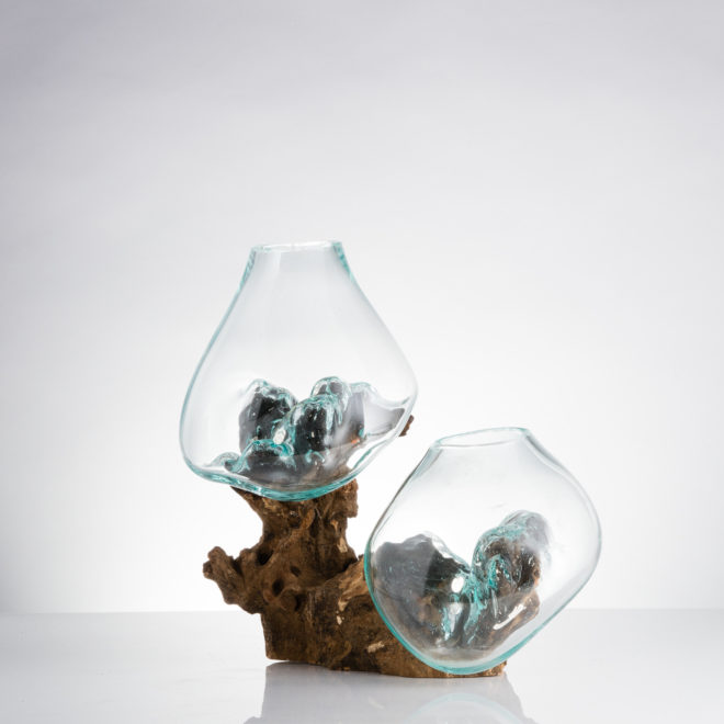 Design, vases, what I c 2, teak root, teak, glass, art, terrarium, fishbowl