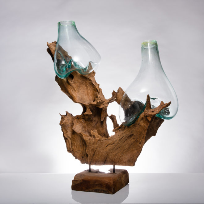 Design, vases, what I c 2, teak root, teak, glass, art, terrarium, fishbowl