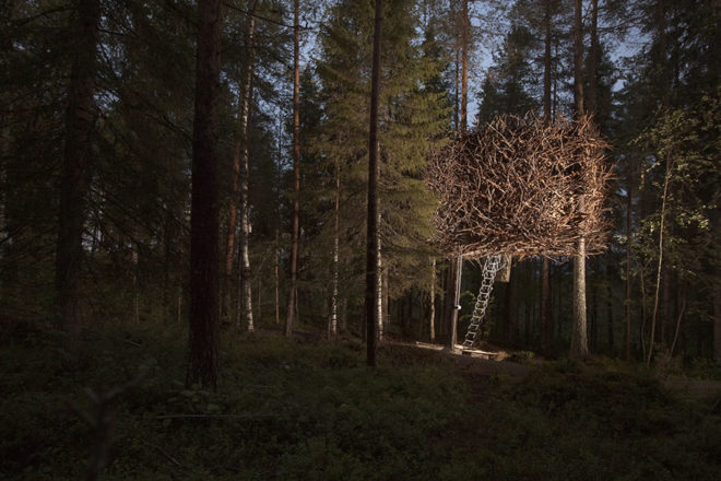 Treehotel, treehouses, Sweden, Mirrorcube, Harads treehotel, Bird's Nest, UFO treehouse, green architecture, small spaces, eco-travel