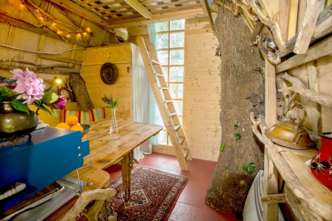treehouse, tree sparrow house, airbnb, united kingdom, england, british airbnb, composting toilet, vacation rentals, vacation, accommodations, airbnb properties