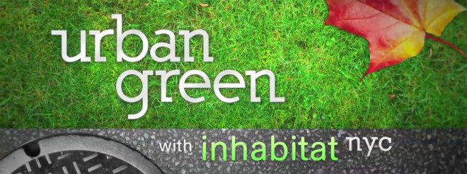 Urban Green with Inhabitat NYC, TV Series