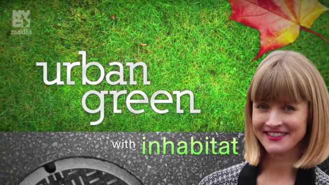 Urban Green with Inhabitat NYC, TV Series