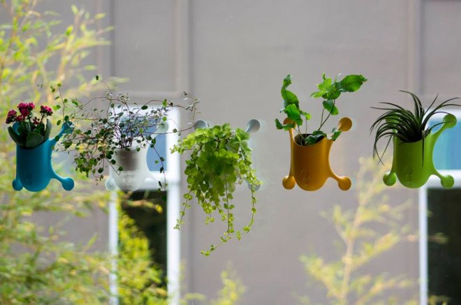 Livi, planter, sustainable design, green design