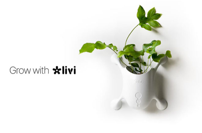Livi, planter, sustainable design, green design