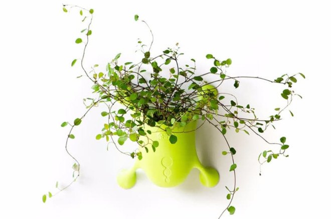 Livi, planter, sustainable design, green design
