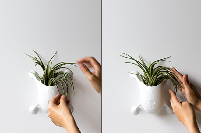 Livi: a playful new way to live with plants