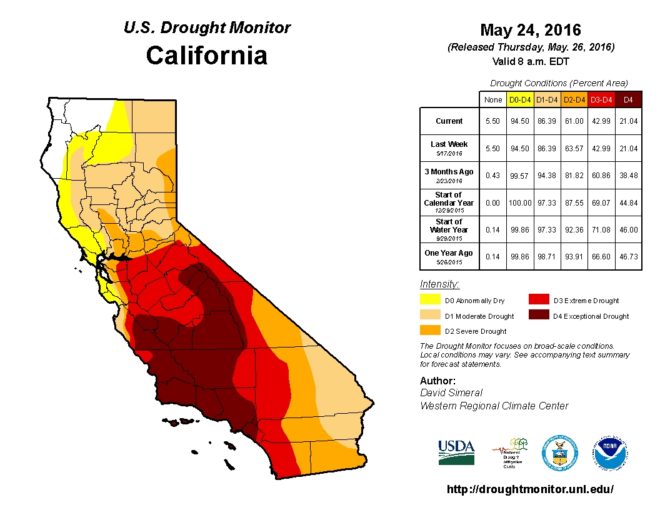 donald trump, california drought, drought, climate denier, drought denier, el nino, california wildfires, california farmlands, presidential election, election 2016