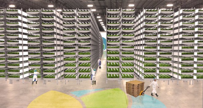 aerofarms, newark, new jersey, indoor farming, indoor vertical farm, aeroponics, fresh produce, local produce, local foods