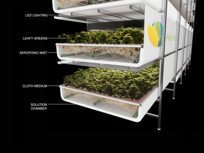aerofarms, newark, new jersey, indoor farming, indoor vertical farm, aeroponics, fresh produce, local produce, local foods