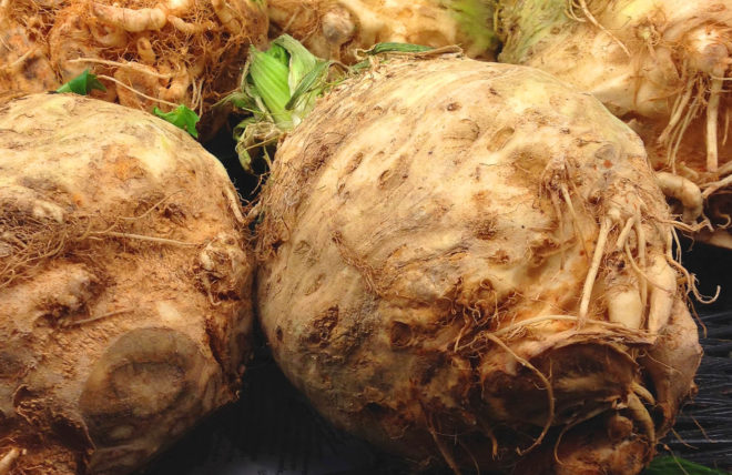 celeriac, celeriac root, celery root, root vegetables, celeriac recipe, celeriac recipes, CSA box