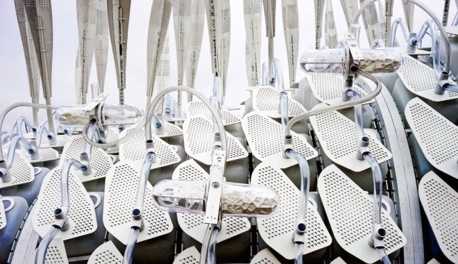 Cricket Shelter by Terreform ONE, Cricket Shelter at Brooklyn Navy Yard, insect farm by Terreform ONE, insect farm doubles as a shelter, disaster relief shelter and farm