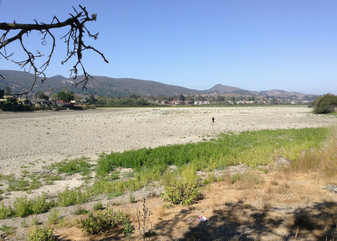California, drought, California drought