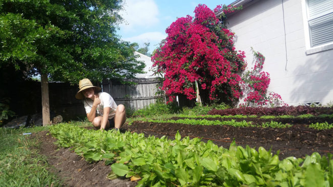 Fleet Farming, Florida, farming, gardens, food, produce, sustainability, bikes, bicycles, food systems