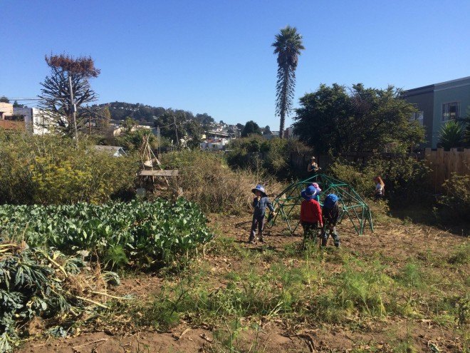 Golden Bridges Kids Farming, Kids farming at Golden Bridges School, Farm School, Farming Kindergarten