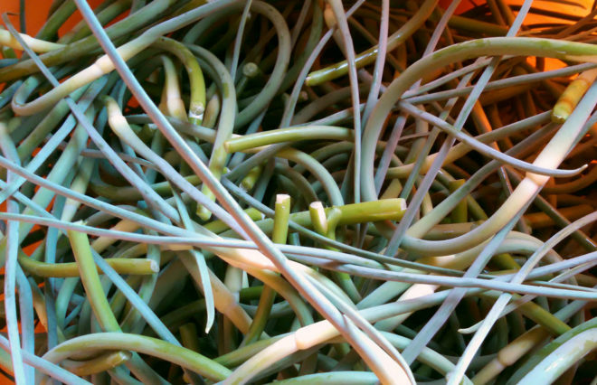garlic scapes, garlic scape, scapes, spring vegetables, CSA box vegetables, CSA box, garlic scape recipe, garlic scape recipes
