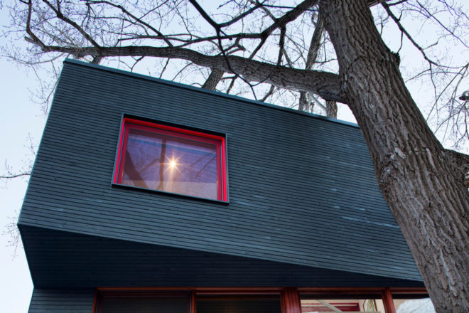 architecture microclimat, home renovations, home expansions, additions, trees, preserving trees, backyard, montreal, canada